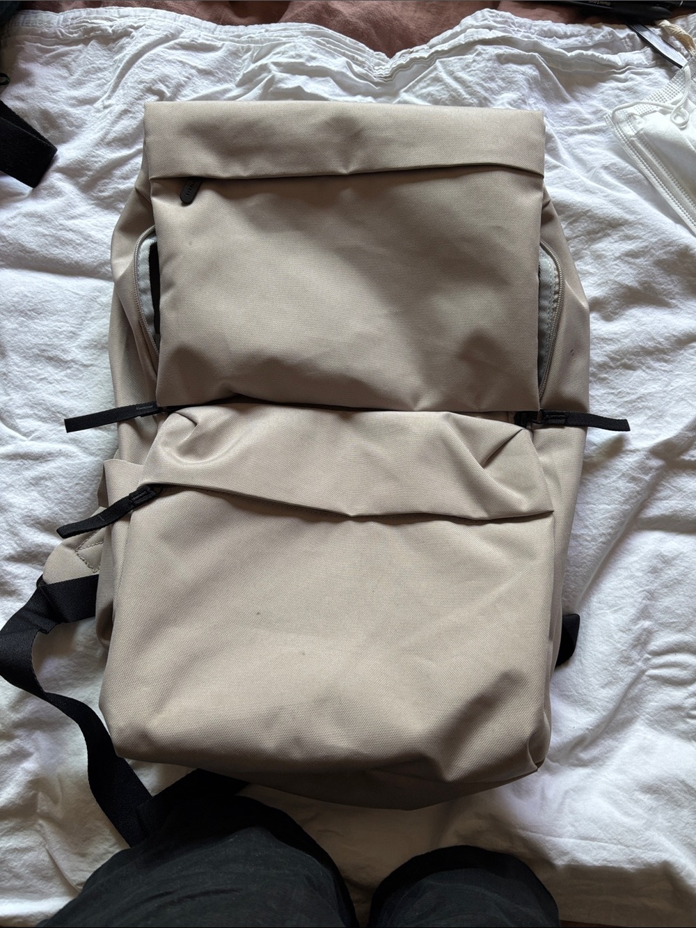 Everlane Light Beige Roll-Top Backpack